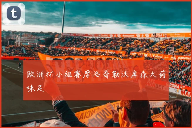 欧洲杯小组赛摩洛哥勒沃库森火药味足