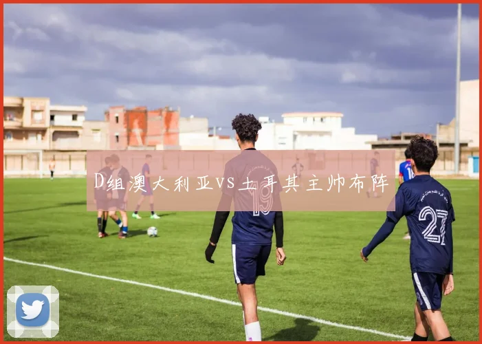 D组澳大利亚vs土耳其主帅布阵
