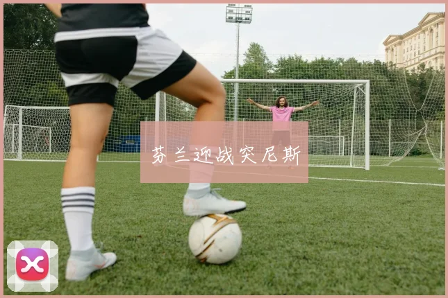 芬兰迎战突尼斯