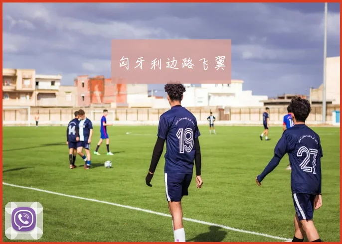 匈牙利边路飞翼
