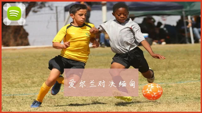 爱尔兰对决缅甸