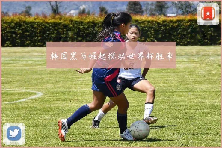 韩国黑马崛起搅动世界杯胜率