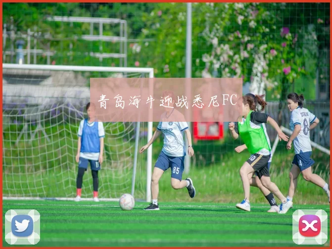 青岛海牛迎战悉尼FC