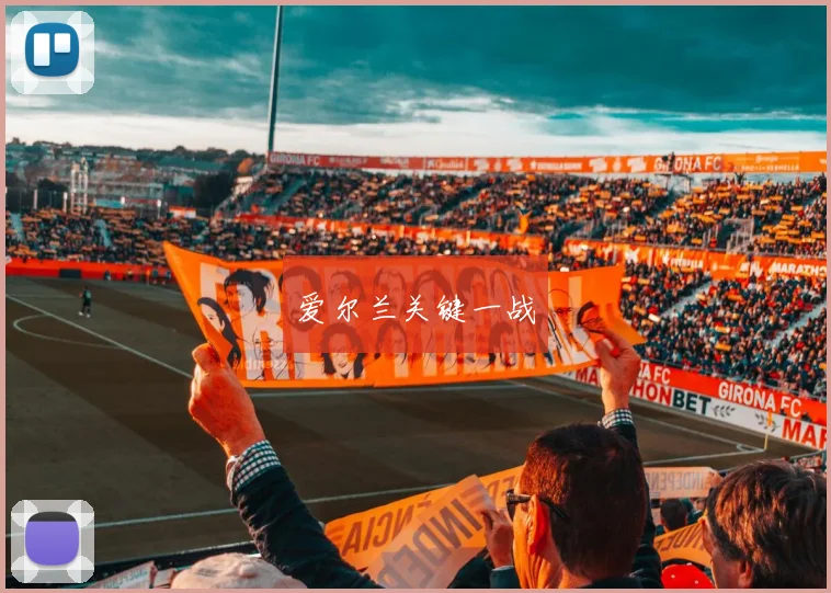 爱尔兰关键一战