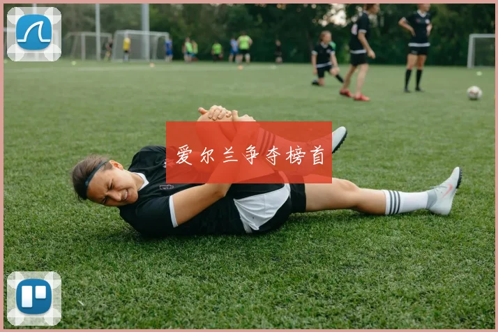 爱尔兰争夺榜首