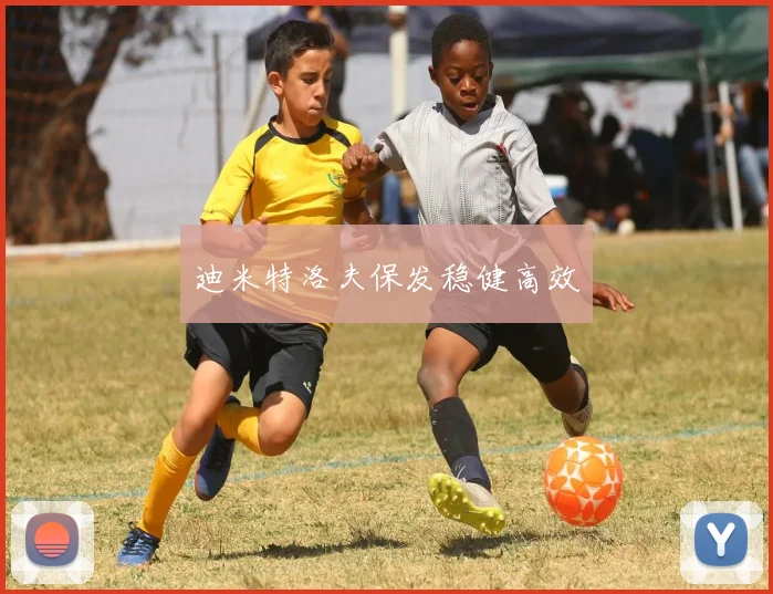迪米特洛夫保发稳健高效