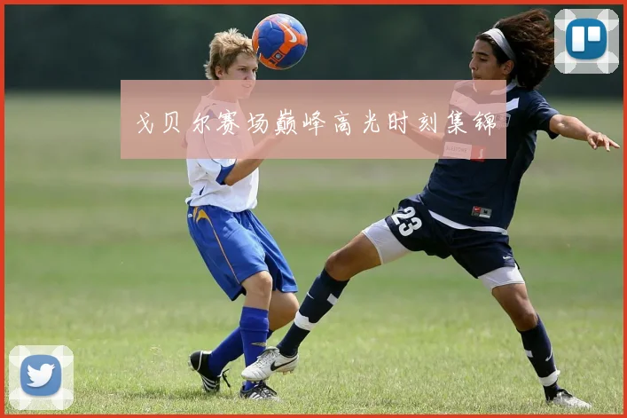 戈贝尔赛场巅峰高光时刻集锦