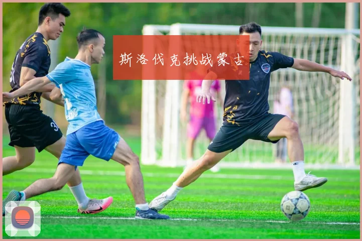 斯洛伐克挑战蒙古