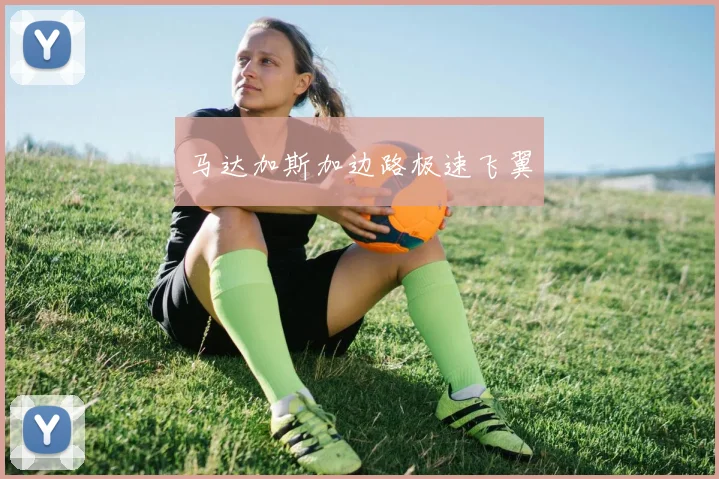 马达加斯加边路极速飞翼