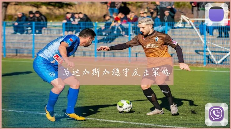 马达加斯加稳守反击策略