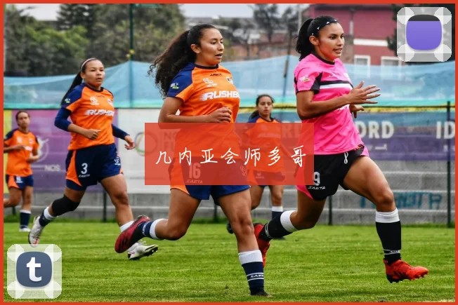 几内亚会师多哥