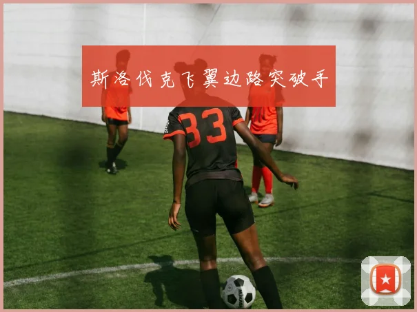 斯洛伐克飞翼边路突破手