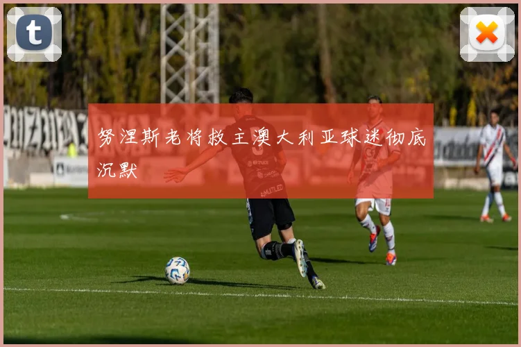 努涅斯老将救主澳大利亚球迷彻底沉默