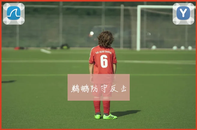 鹈鹕防守反击
