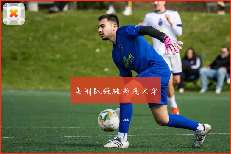 美洲队强碰老虎大学