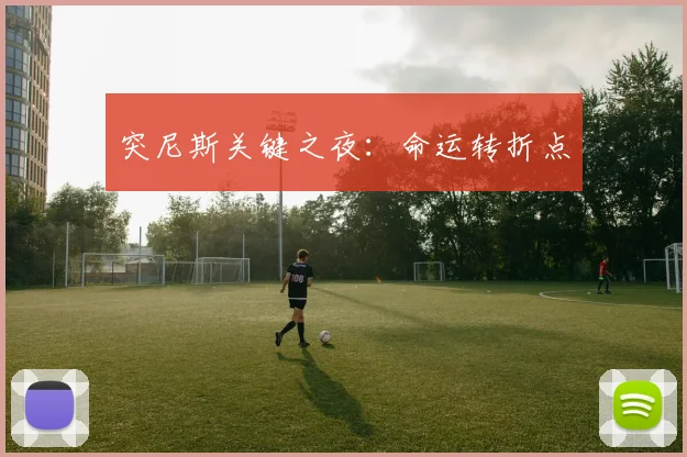 突尼斯关键之夜：命运转折点