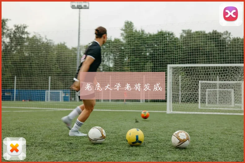 老虎大学老将发威