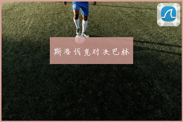 斯洛伐克对决巴林