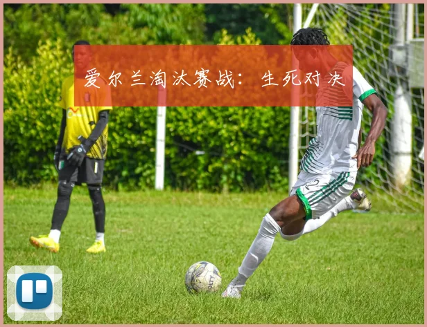 爱尔兰淘汰赛战：生死对决
