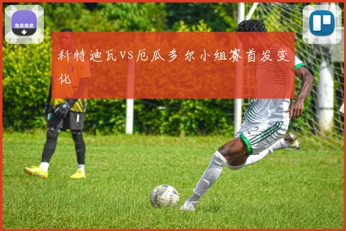 科特迪瓦vs厄瓜多尔小组赛首发变化