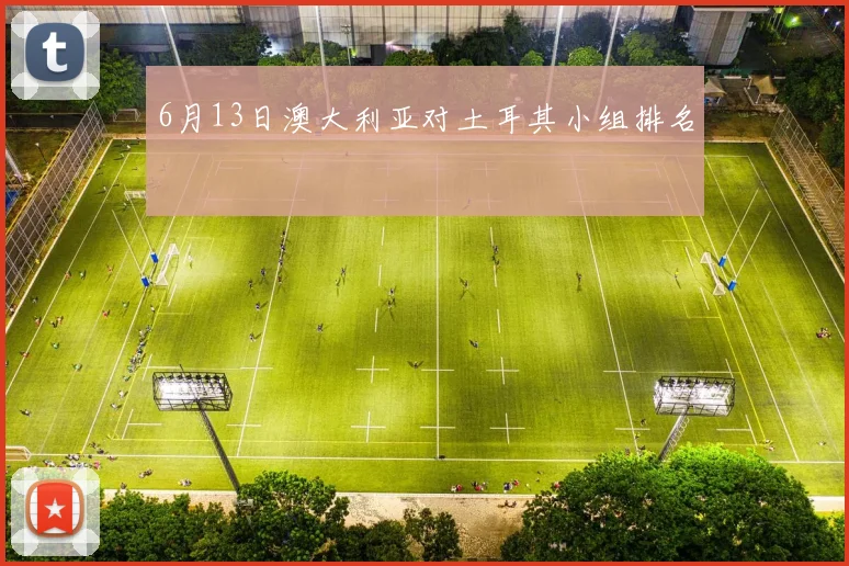 6月13日澳大利亚对土耳其小组排名